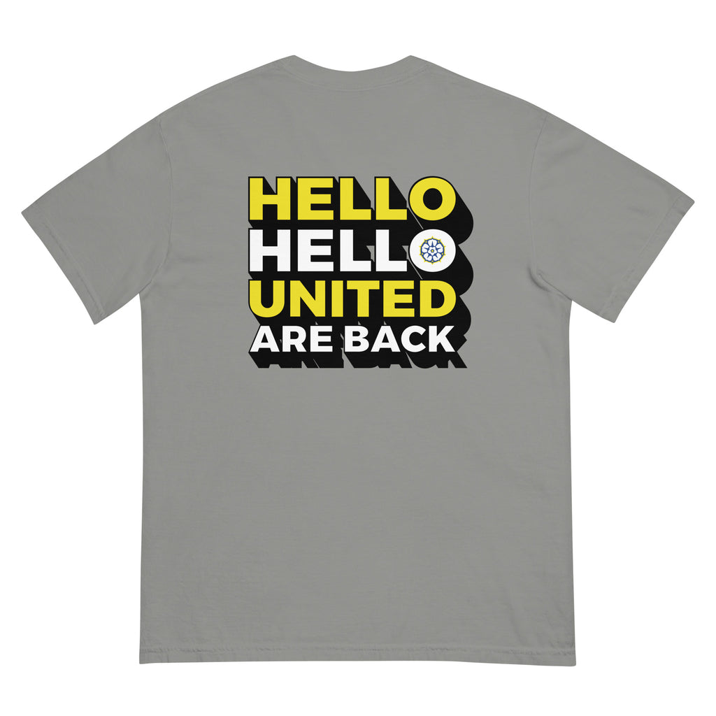 Gray heavyweight T-shirt with large back “HELLO HELLO UNITED ARE BACK” graphic